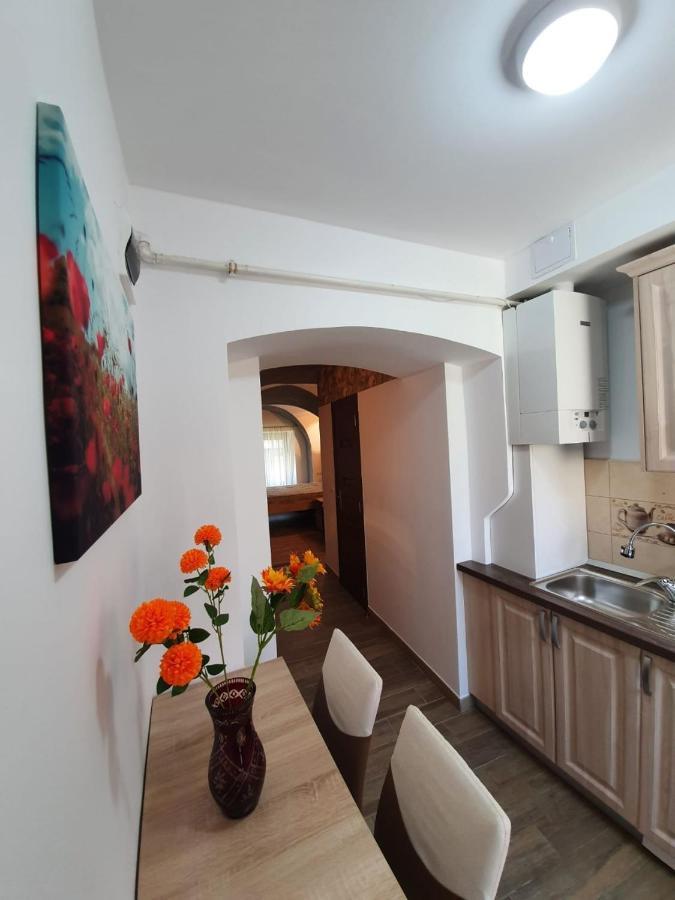 Radu Apartament Lägenhet Sibiu Exteriör bild